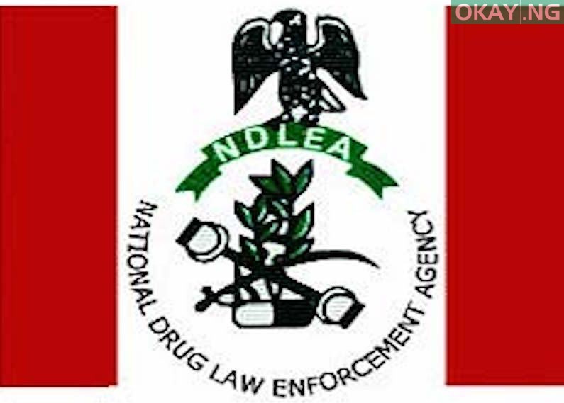 Buhari okays recruitment of 5,000 personnel for NDLEA ...