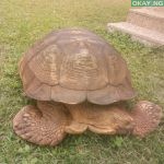 Alagba, 344-year-old Ogbomoso tortoise