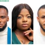 BBNaija 2020 housemates