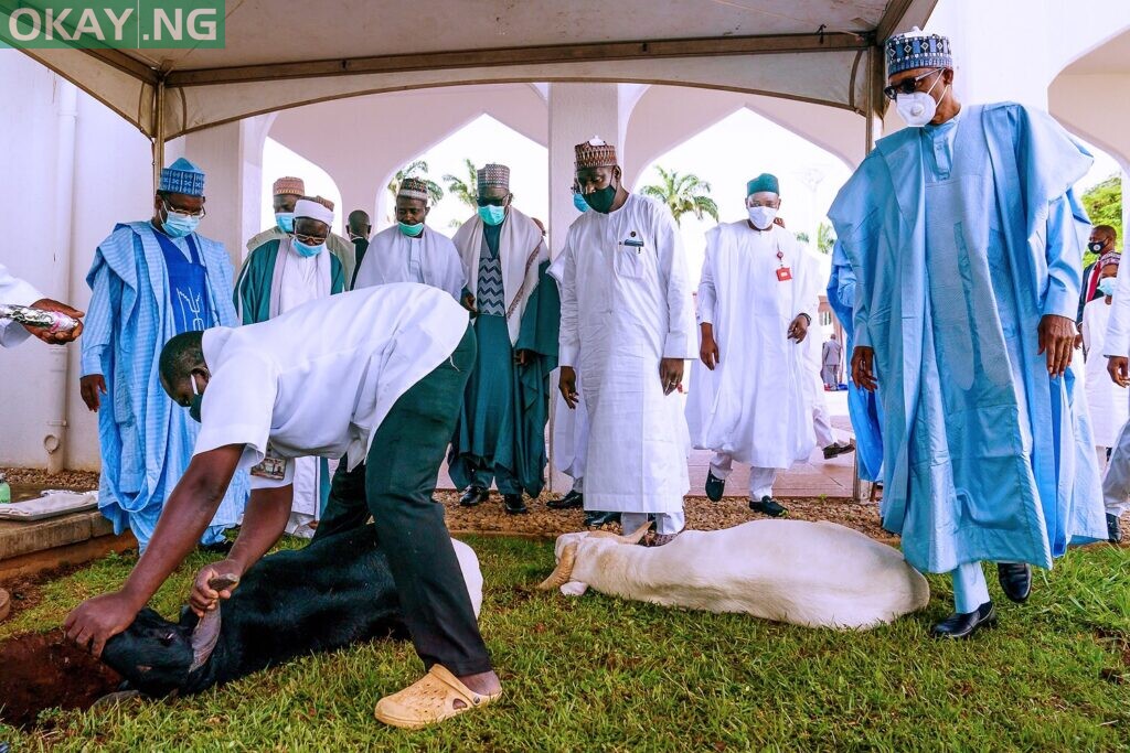 Buhari, family observe Eid-El-Kabir prayers at Villa ...