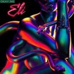 ELI by Fireboy DML