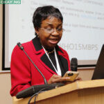 NAFDAC director-general, Mojisola Adeyeye