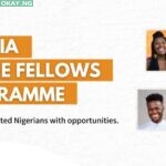 Nigerian Jubilee Fellows Programme (NJFP)