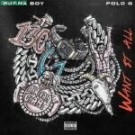 Want It All by Burna Boy featuring Polo G