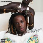 Playboy by Fireboy DML