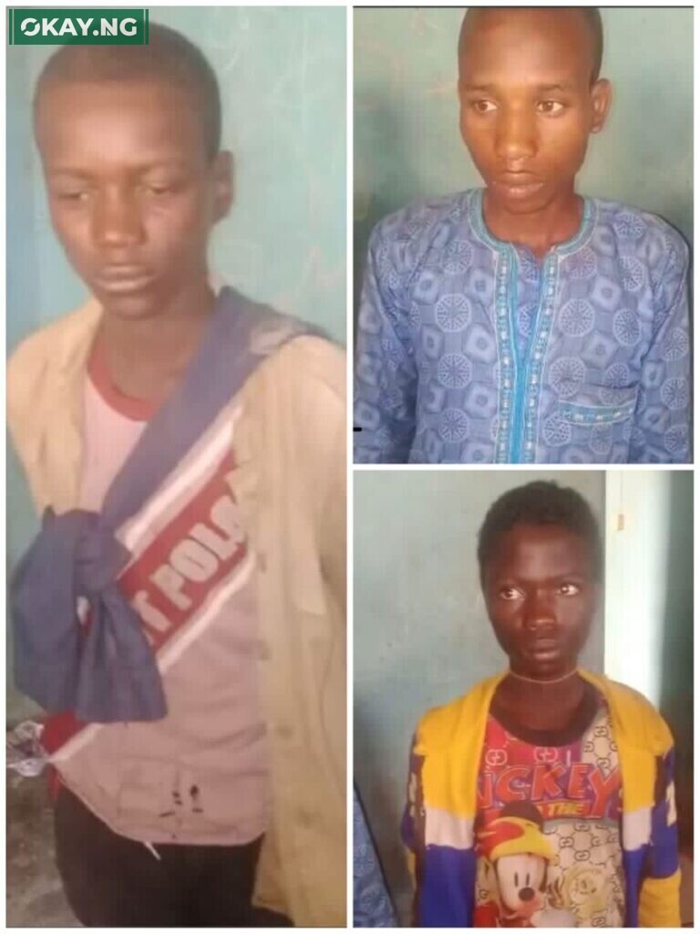 The arrested suspected kidnappers