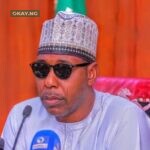 Governor Babagana Umara Zulum