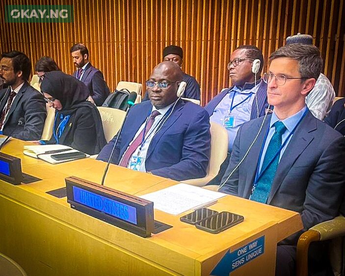 Muhammad Nami, Executive Chairman FIRS, at the 2023 ECOSOC Special Meeting on International Cooperation in Tax Matters at the United Nations Headquarters, New York, United States (March 31st, 2023).