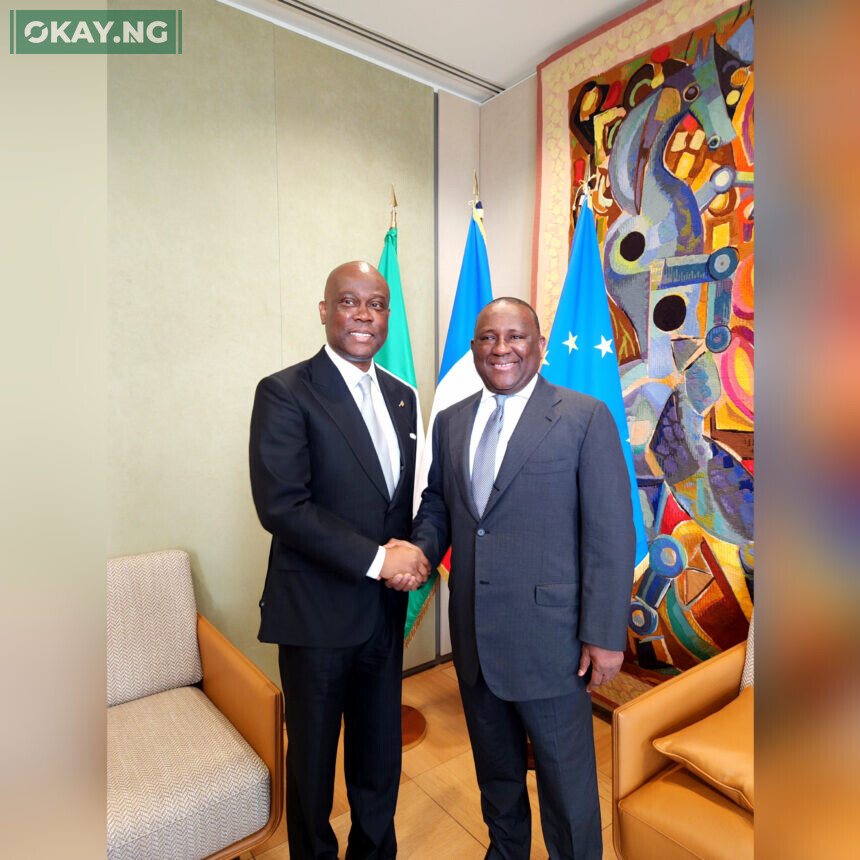 Outgoing Pioneer President, France Nigeria Business Council, Abdul Samad Rabiu and incoming President, France Nigeria Business Council, Herbert Wigwe at the handover ceremony in Paris