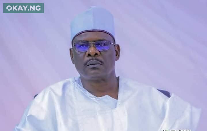 Senator Ali Ndume