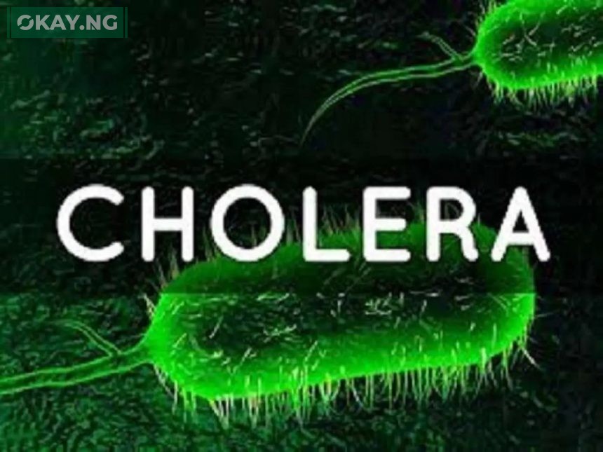 Cholera