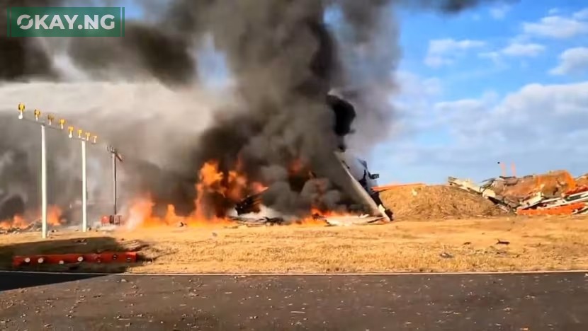 Jeju Air Plane Crash